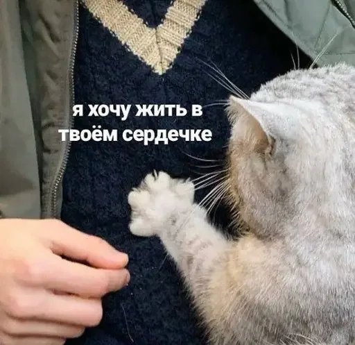 Sticker sticker_71575676_by_moe_sticker_bot - 1