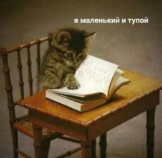 Sticker стикеры ➡️ @stikeryy7 - 10