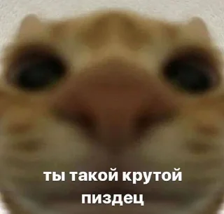 Sticker стикеры ➡️ @stikeryy7 - 11