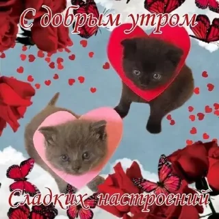 Sticker стикеры ➡️ @stikeryy7 - 0