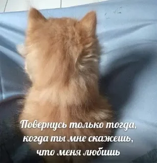 Sticker стикеры ➡️ @stikeryy7 - 7