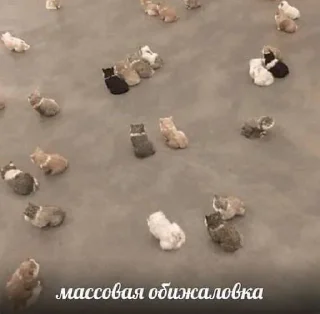 Sticker стикеры ➡️ @stikeryy7 - 8