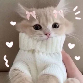 Стикер Стикеры тут: @stikeryy7 - 0