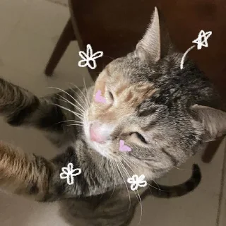 Стикер Стикеры тут: @stikeryy7 - 2