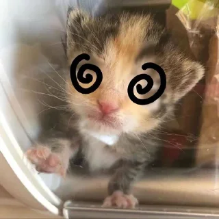 Стикер Стикеры тут: @stikeryy7 - 9