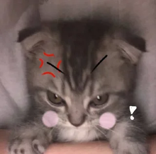 Стикер Стикеры тут: @stikeryy7 - 10