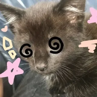 Стикер Стикеры тут: @stikeryy7 - 4