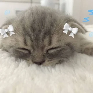 Стикер Стикеры тут: @stikeryy7 - 6