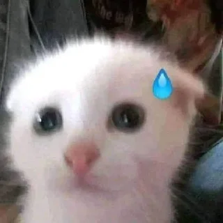 Стикер Стикеры тут: @stikeryy7 - 3