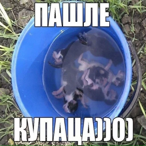 Sticker sticker_by_nesxis - 1