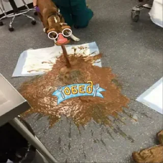 Sticker анусное затишье - 11