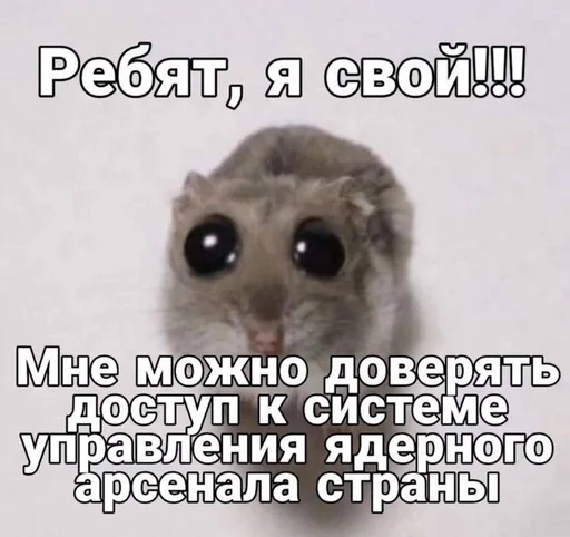 Sticker стикеры ➡️ @stikeryy7 - 0