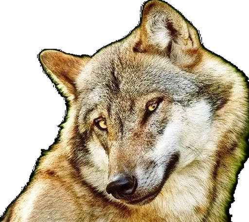 Создано с помощью - @neirostick_bot - 