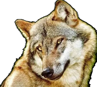 Стикер Создано с помощью - @neirostick_bot - 0