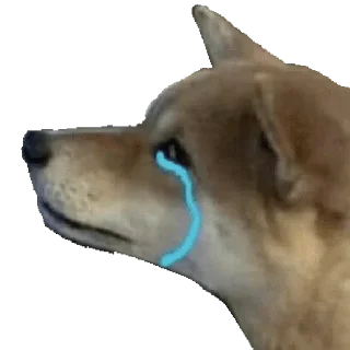 Стикер memes de cachorros - 0