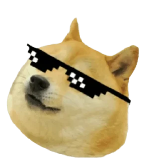 Стикер memes de cachorros - 6