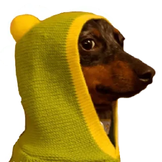 Стикер memes de cachorros - 4