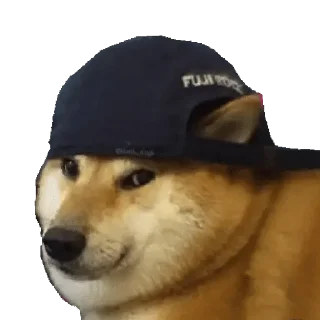 Стикер memes de cachorros - 1