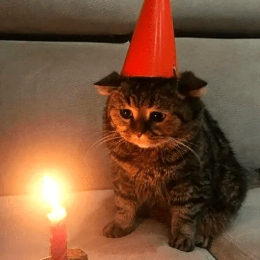 Sticker GATITOS RANDOMM - 3