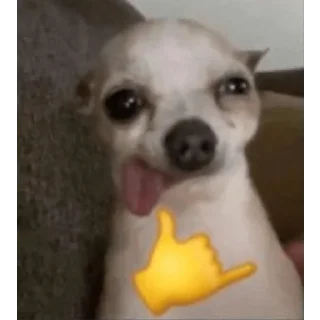 Sticker stickers.zoe.perritos - 1