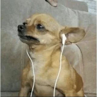 Sticker stickers.zoe.perritos - 10