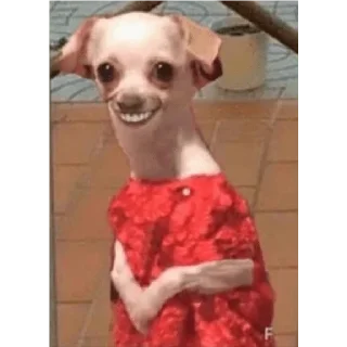 Sticker stickers.zoe.perritos - 7