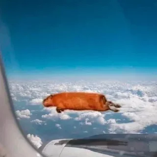 Sticker @stickermysticker - 6