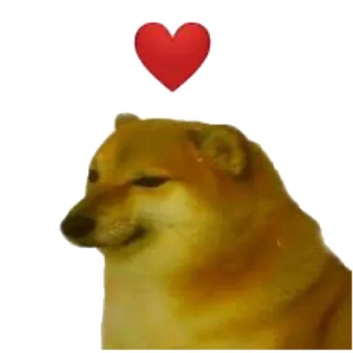 set_1 @harm_reduction :: @fStikBot - мультфильм