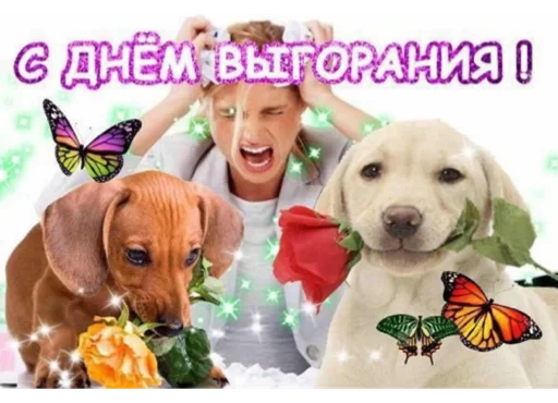 Sticker stickerpackbezbyudzheta - 1