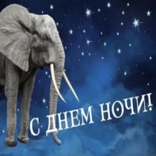 Стикер stickerpackbezbyudzheta - 1