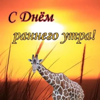 Sticker стикерпак без бюджета - 1