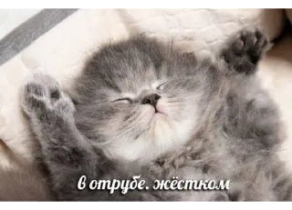 Sticker стикерпак без бюджета - 11