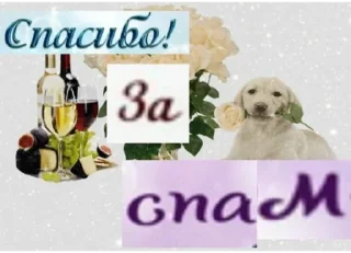 Sticker стикерпак без бюджета - 2