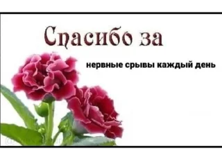 Sticker стикерпак без бюджета - 9