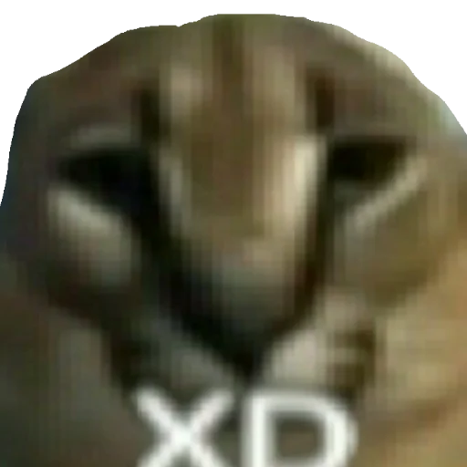 Sticker Хуйня ебаная :: @fStikBot - 8