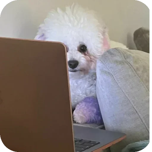 Sticker stickerpak_Bambul_by_MoiStikiBot - 1