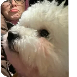 Sticker Буба🐶❤ @YtkaKysaka - 5