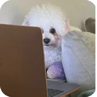 Sticker Буба🐶❤ @YtkaKysaka - 11