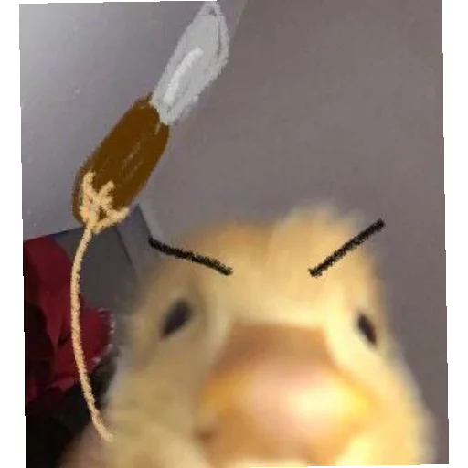 Sticker stickers - 5