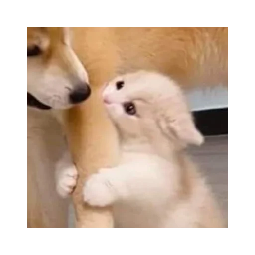 Sticker stickers - 2