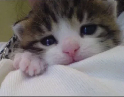 Стикер stickers3223332 - 1