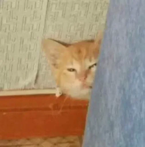 Лучшие Стикеры тут @AniPics_bot - 