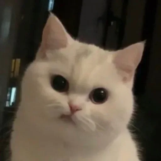 Стикер stickers3223332 - 1