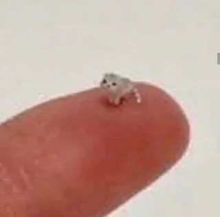 Стикер Лучшие Стикеры тут @AniPics_bot - 1