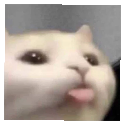 Sticker stickers - 3