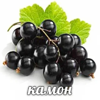 Sticker Лучшие Стикеры тут @AniPics_bot - 8