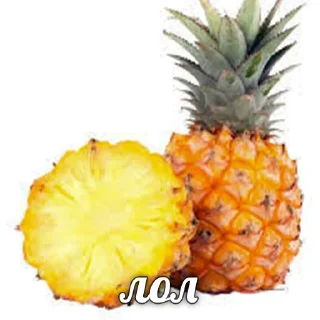 Sticker Лучшие Стикеры тут @AniPics_bot - 4