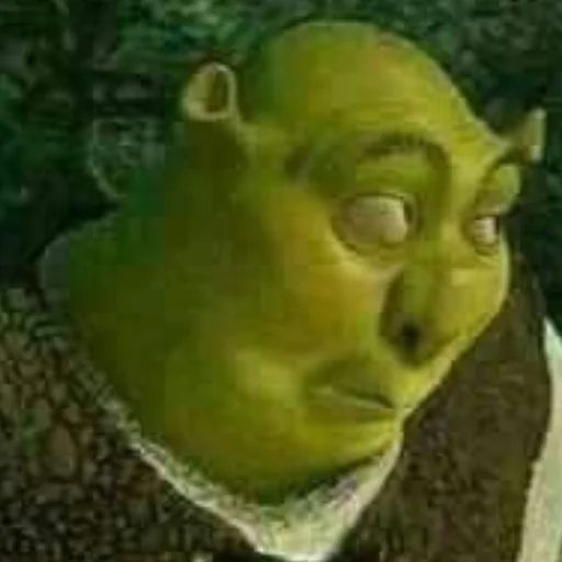 reef yellow underwater