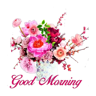 Sticker Канал ГОТОВЫЕ СТОРИС @stories_bis - 7