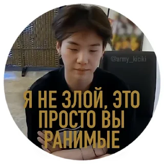 Sticker АРМИ-КИЦИКИ @army_kiciki - 0